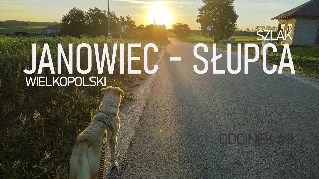 Szlak Janowiec Wielkopolski - Słupca #3: fragment zapomniany przez PTTK