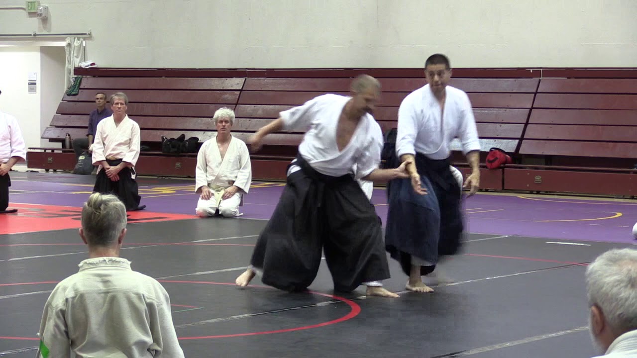 Birankai Aikido Summer Camp 2019 -  F. Apodaca, Shihan, Class 3