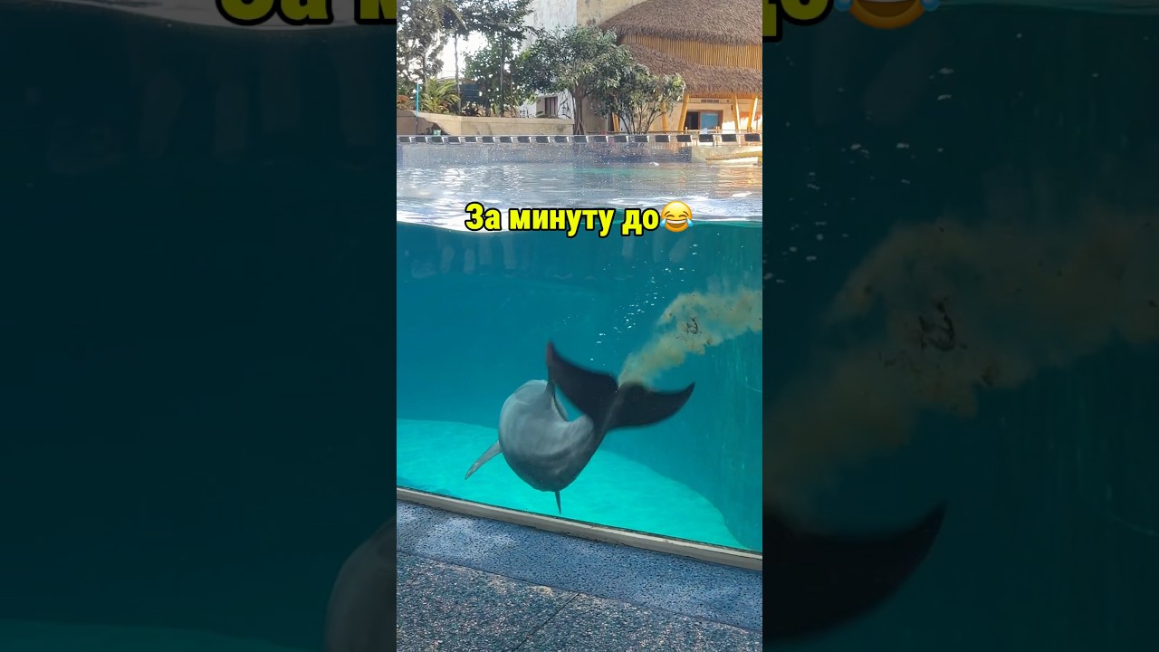 Подпишись впереди много интересного🤣