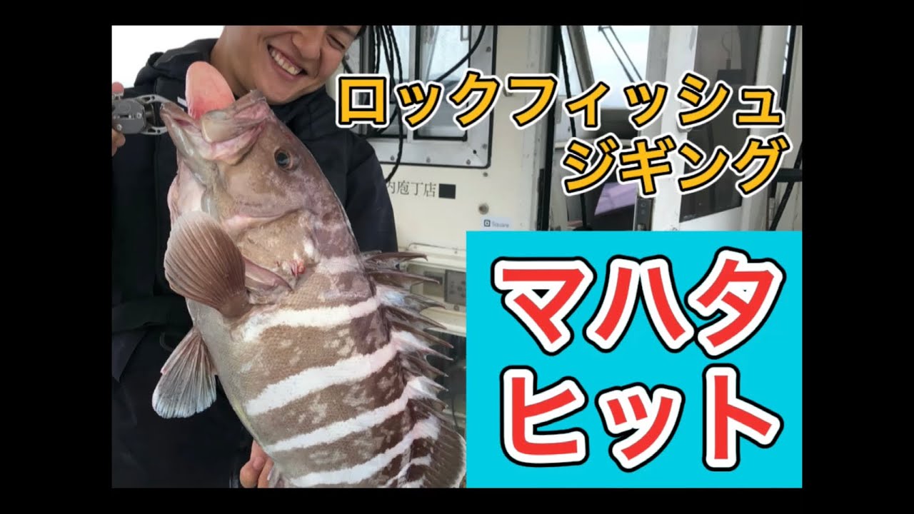 マハタヒット！アカハタも釣れたよ👍ハタゲーム最高！うぐるBOX鵜来島