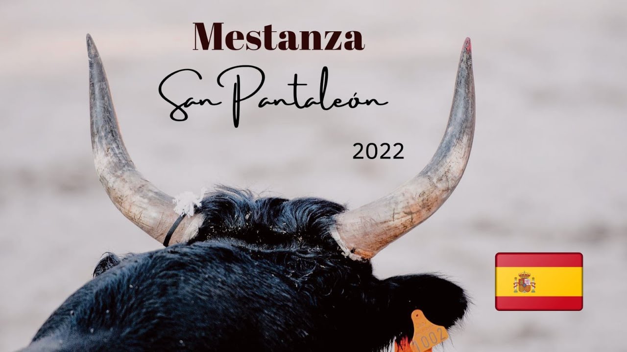 MESTANZA - SAN PANTALEON 2022