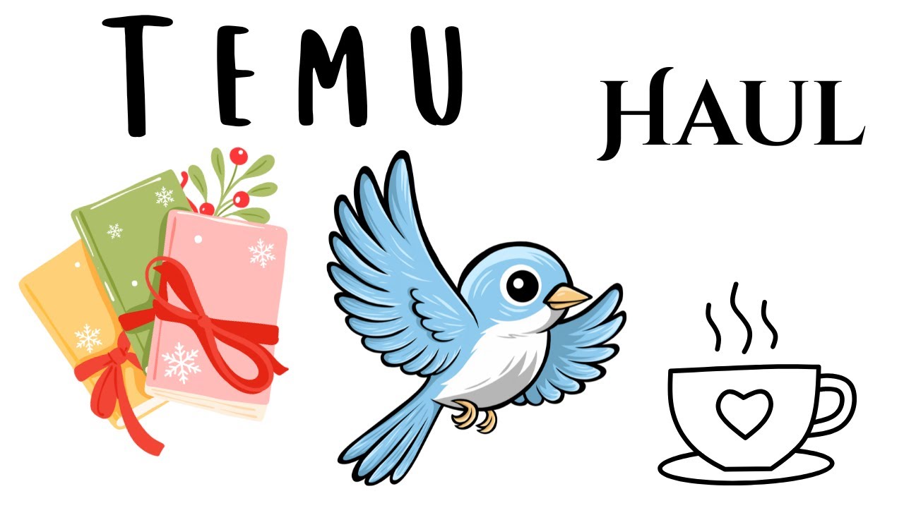 Temu Haul | January 26, 2026