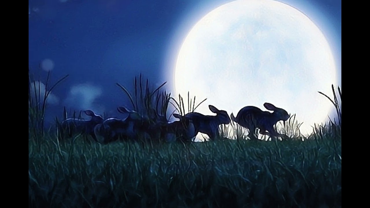 Watership Down Ambience
