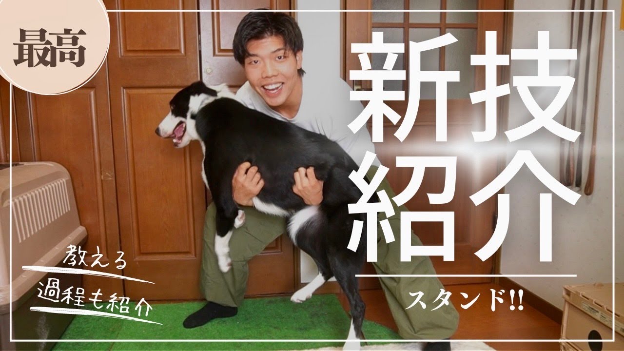 新技!!現役トレーナーがスタンド教えてみた!