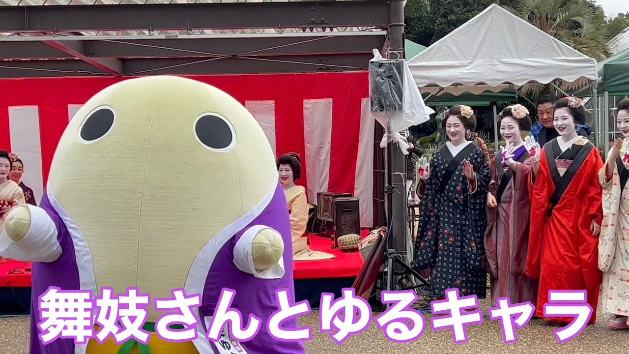 京都 舞妓さんとゆるキャラ 【京都マラソン】Walk in Kyoto,Japan 【4K】2023年2月19日