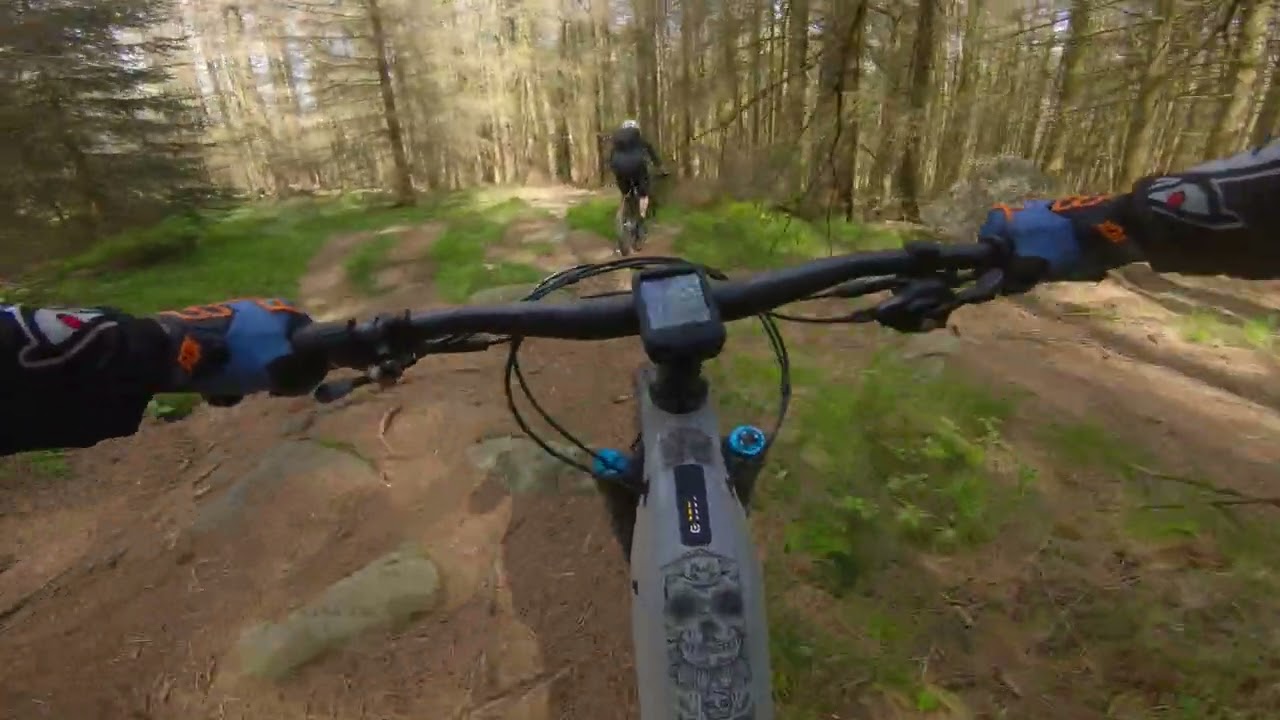 Harz-E-n - Die erste Tour mit dem Giant Reign E+ 1 2022