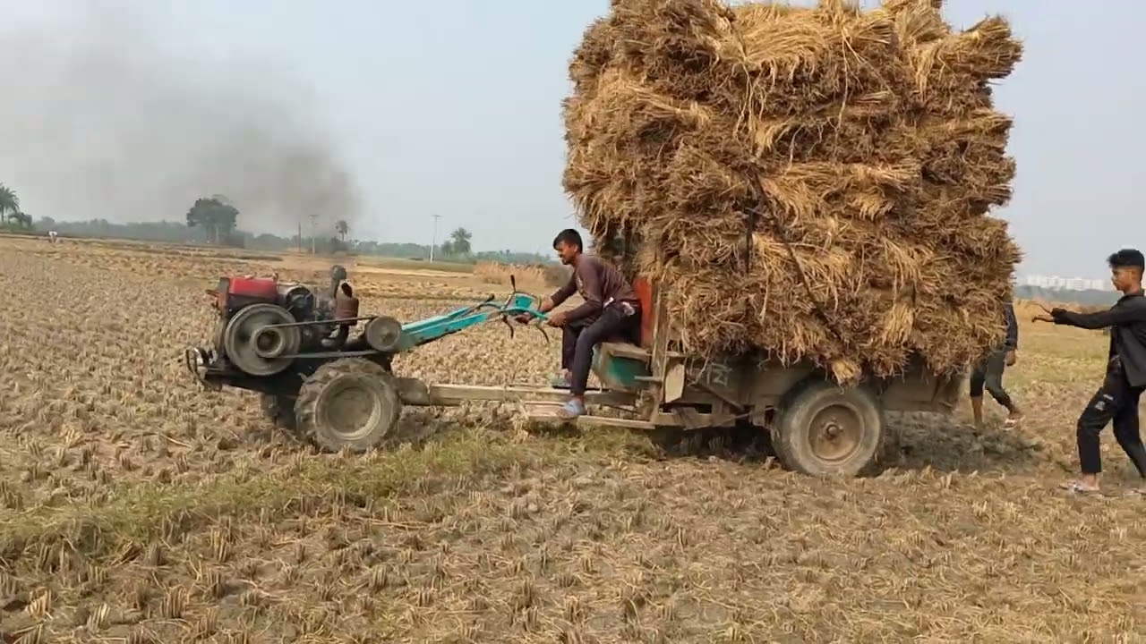 দুইজনে মিলে গাড়ি স্টার্ট করতেছে/ #FM #যশোরী #agriculture #dhaan 