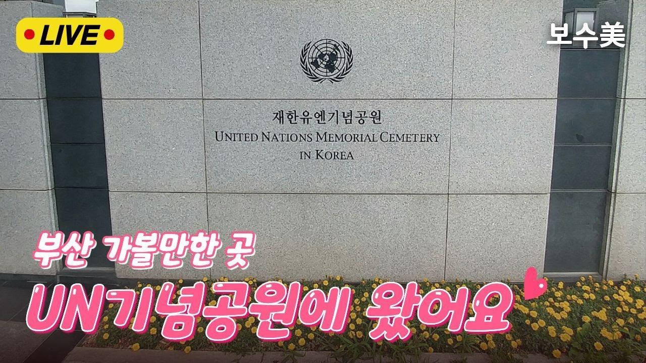 🔴보수미 LIVE🔴UN기념공원에 왔습니다