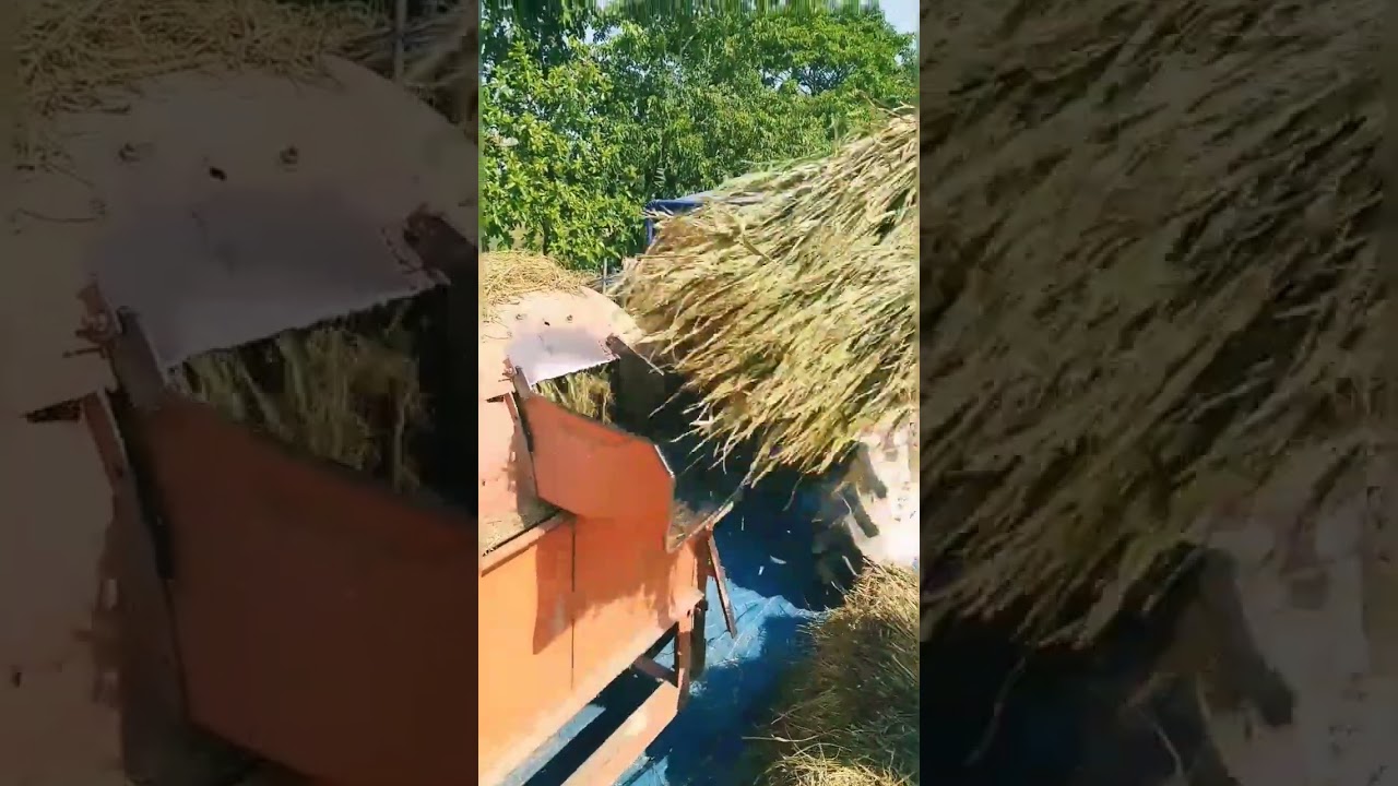 Rice separation machine !! kisan la engineering buddhi !! @jahidrose143 #youtubeshorts #youtube