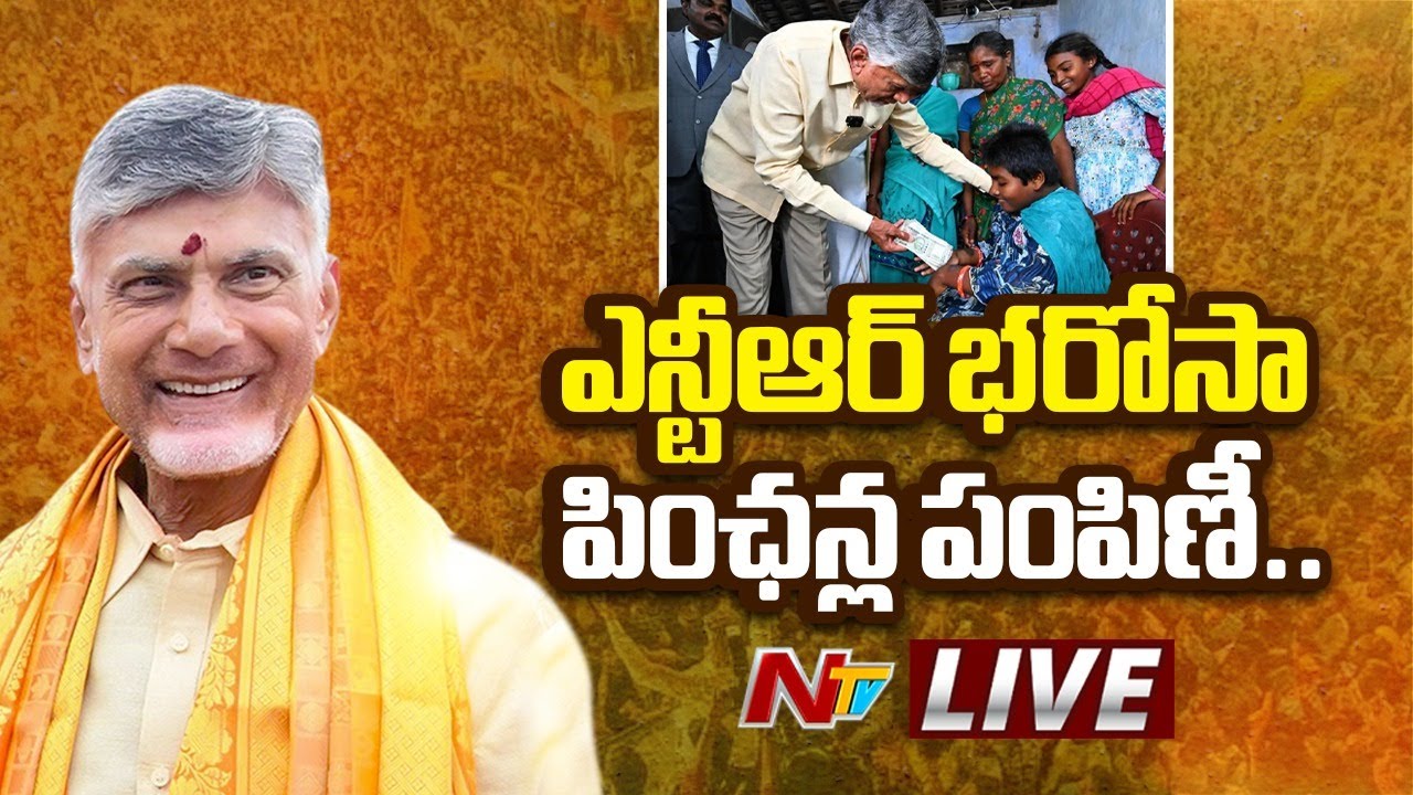 CM Chandrababu Live | NTR Bharosa Pension Distribution | Praja Vedika programme | NTV Telugu