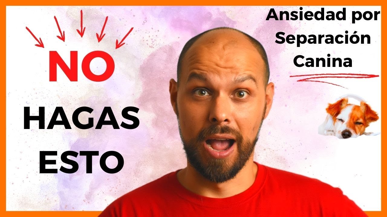 15 FALSOS MITOS │ Cómo NO tratar la ANSIEDAD por SEPARACIÓN en los PERROS 🐶❌