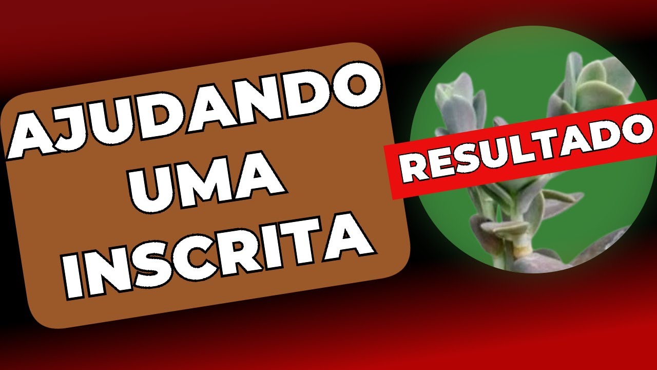 AJUDANDO uma INSCRITA - RESULTADO