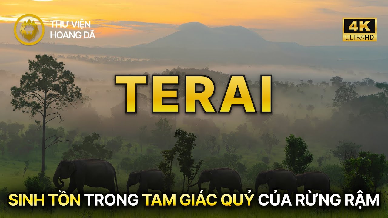 TERAI HOANG DÃ | Bí Ẩn Hơi Thở Còn Sót Lại Dưới Chân Himalaya #thegioidongvat #animals 
