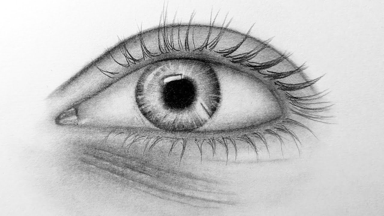 How to Draw Hyper Realistic Eyes for Beginners - Step by Step #drawing 