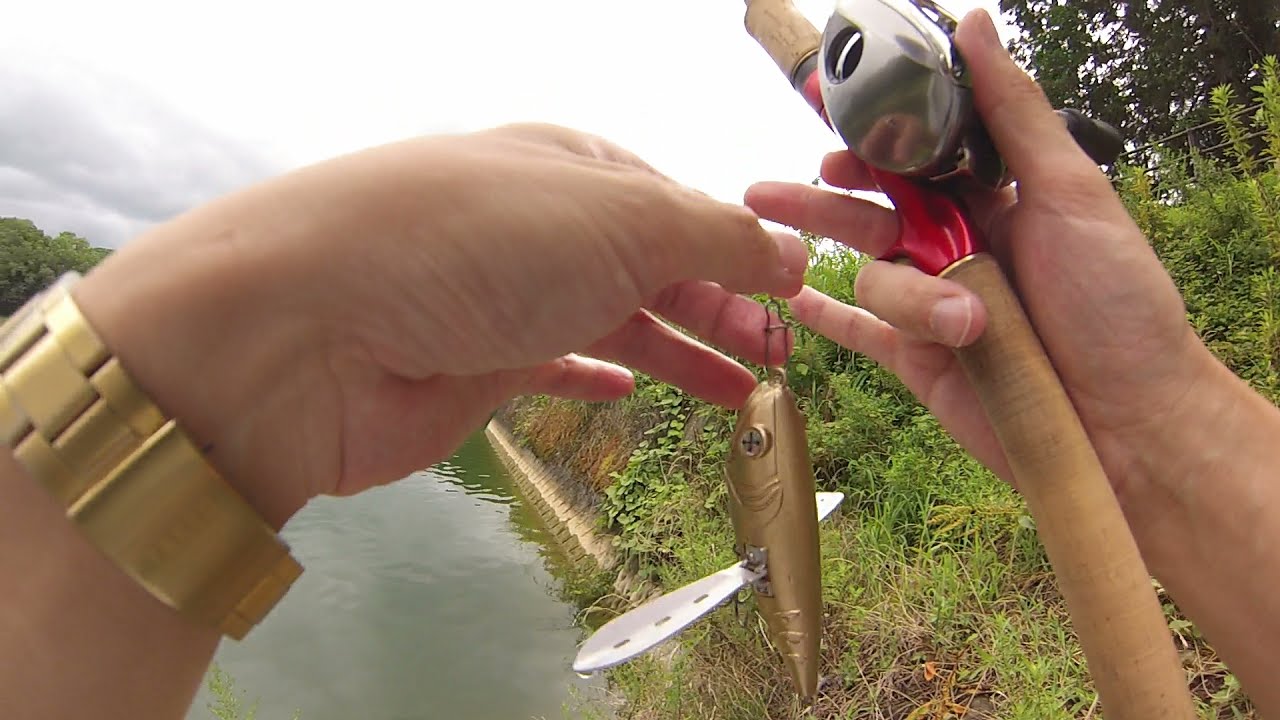 アビス タエニアを使ってみた！ABYSS TAENIA shimano 16ANTARESDC shimano wouldshaura1652r-5