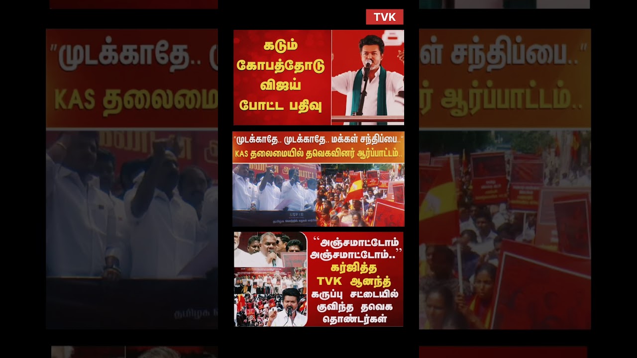 TVK Vijay | On Day News | #tvk #tvkvijay #bjp #breakingnews #tamilnadunews #dmk #admk #tvc #tvshow