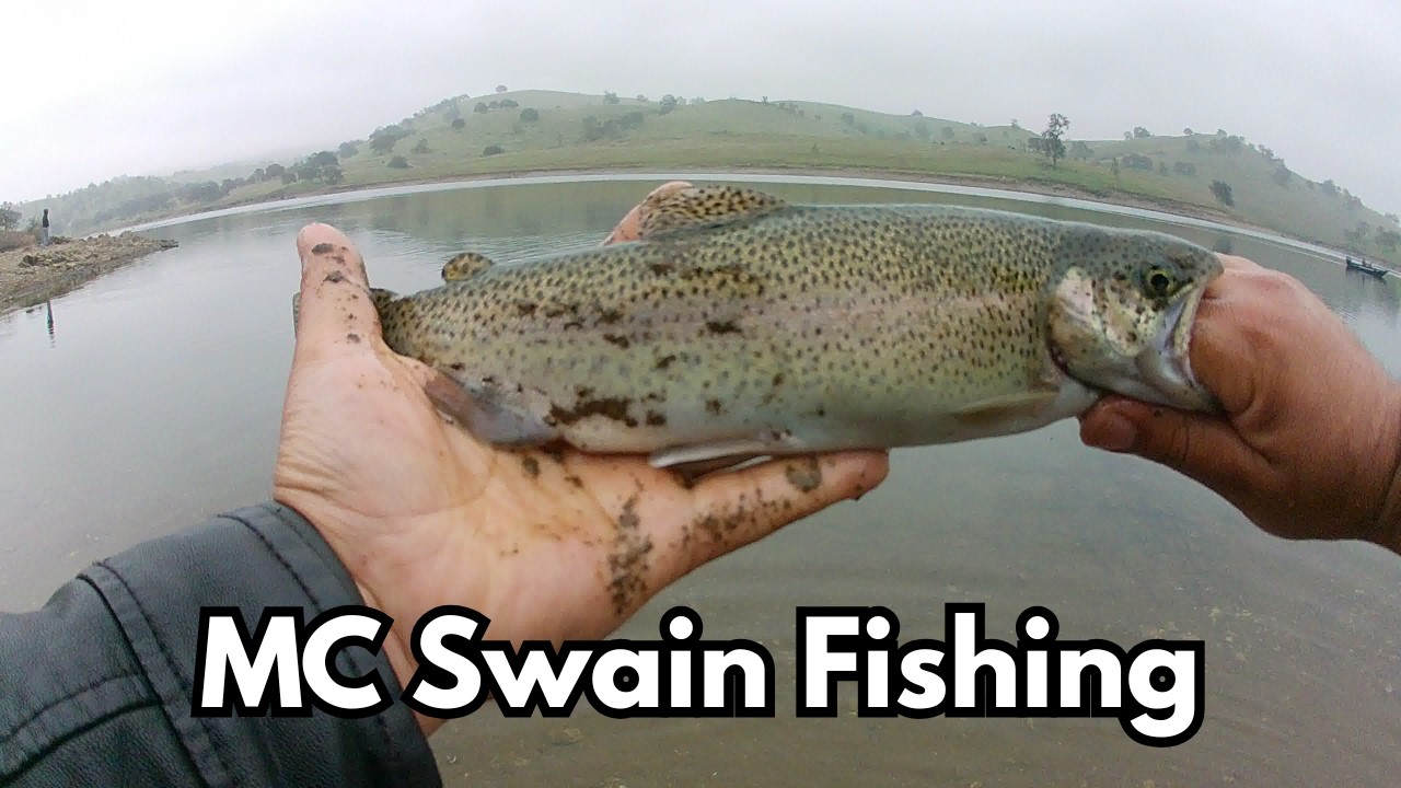 Mc Swain Trout Fishing | None stop action