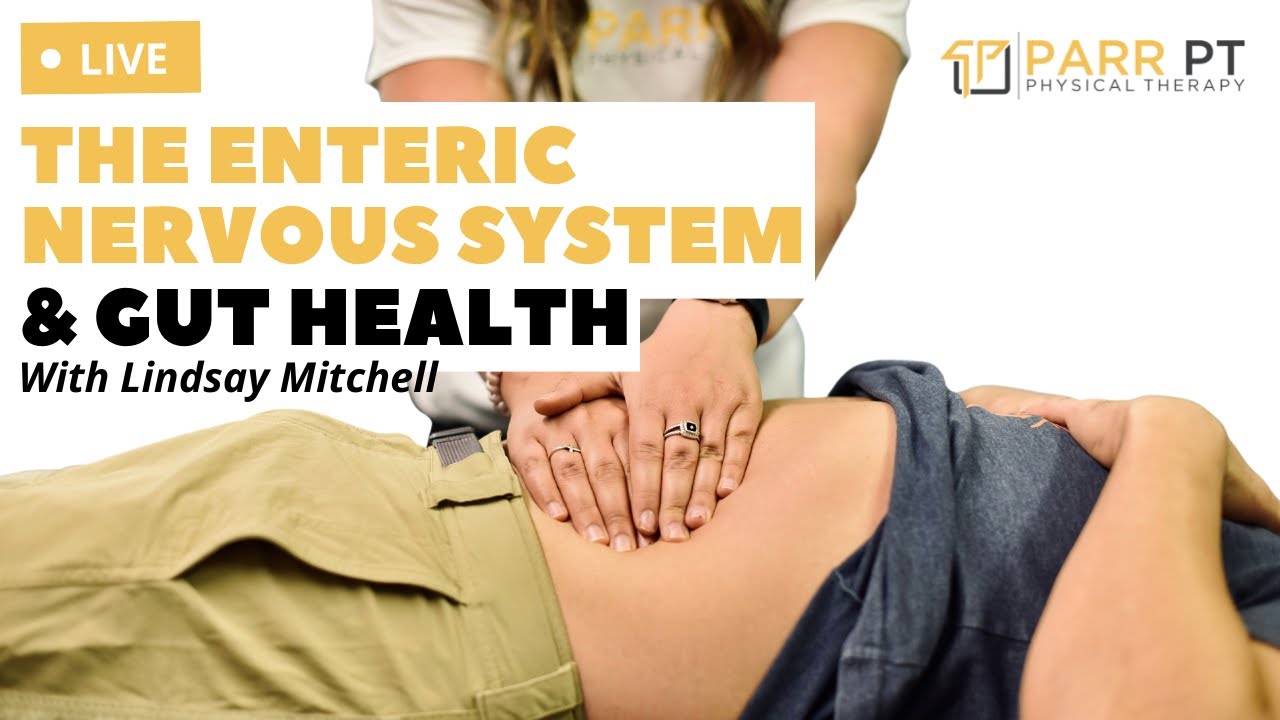 Fix Your Gut, Fix Your Life | The Mind-Blowing Power of the Enteric Nervous System!
