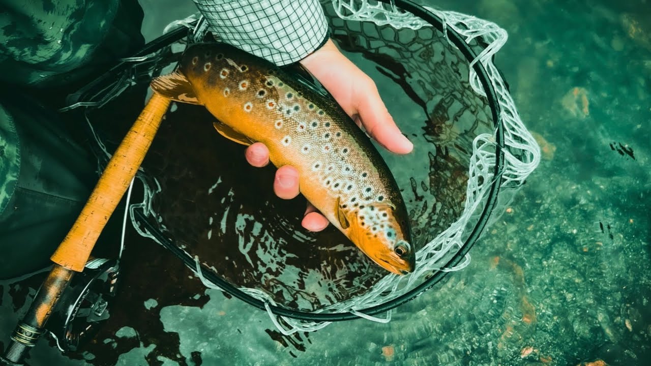 Fishing for TROUT in LIERNE NORWAY