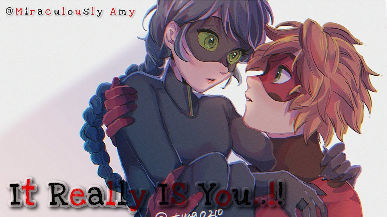 It Really IS You..!! || One - Shot || Identity Reveal || Marichat || Ladynoir || Adrinette