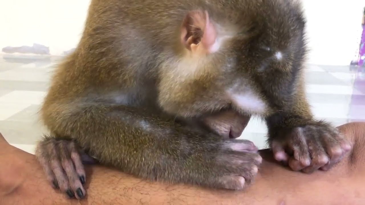 Jason Grooming ASMR