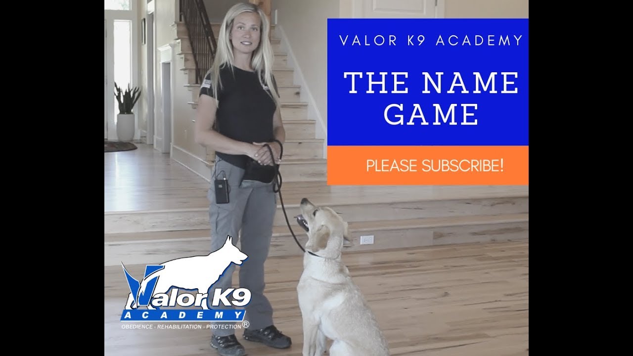The Name Game | Amy Pishner | Valor K9 Academy