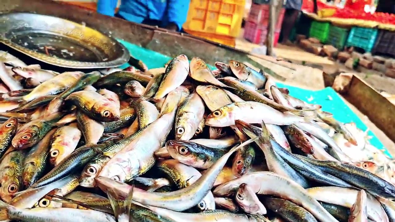 Fish market tamilnadu [trichy ]#fish #food # travel #Shorts #andhrapradesh #telangana 