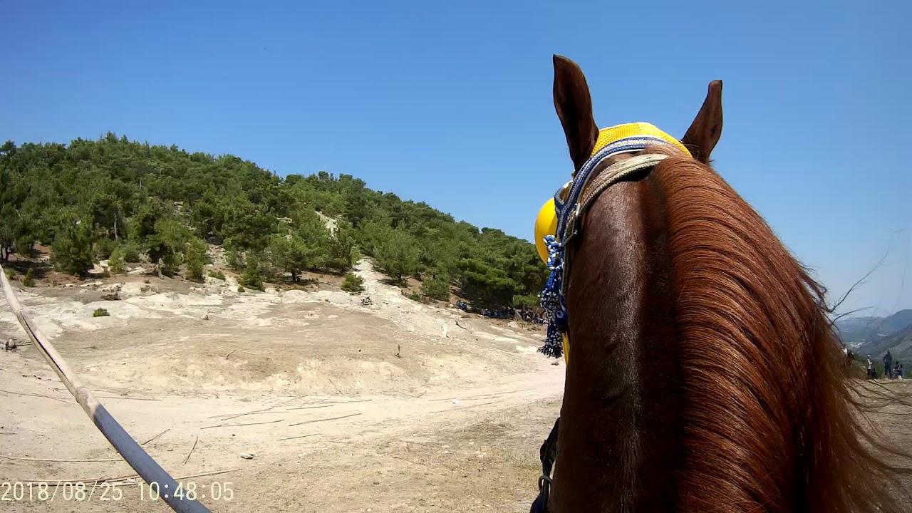 Aksiyon kamerasından cirit oyunu /Gürsel