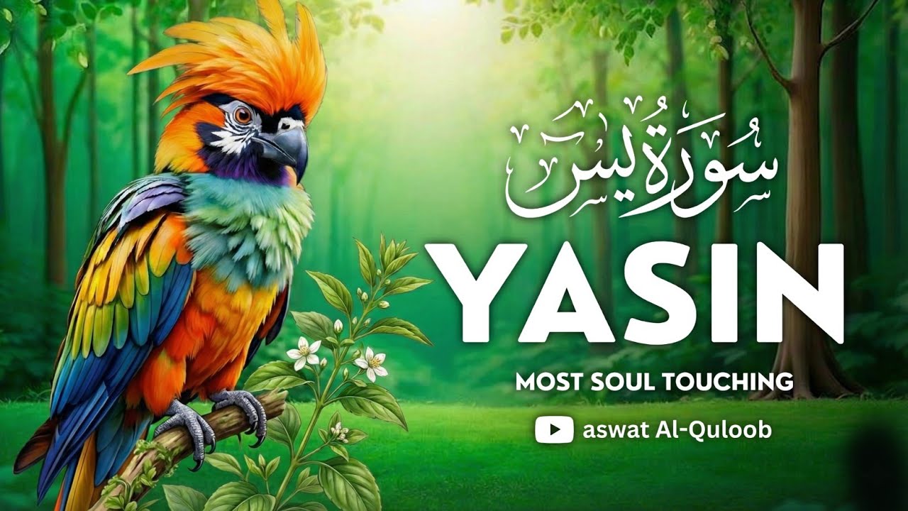 Surah Yasin Yaseen سورة يس   Heart Touching & Relaxing Quran Recitation   Most Beautiful Voice