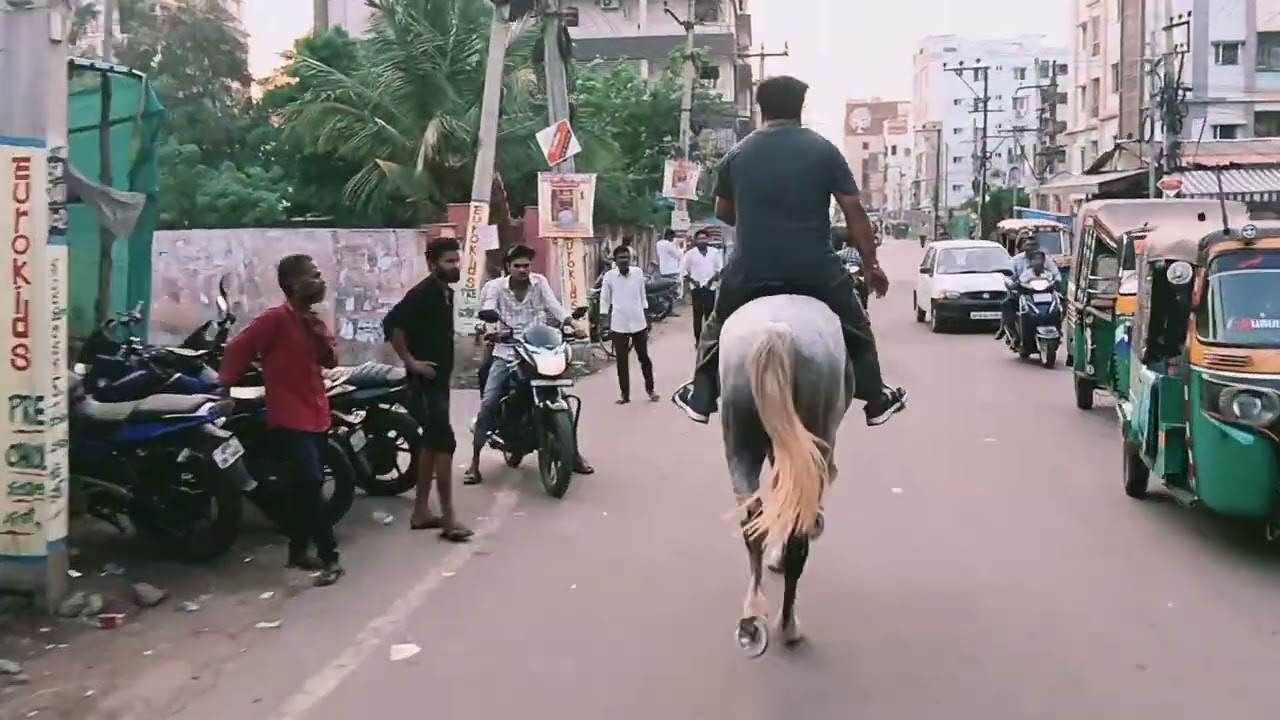 BEZAWADA HORSE RIDERS 2 RAJ