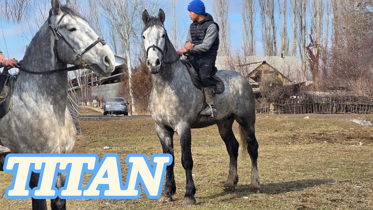 БАЙЫШТАН ТИТАН