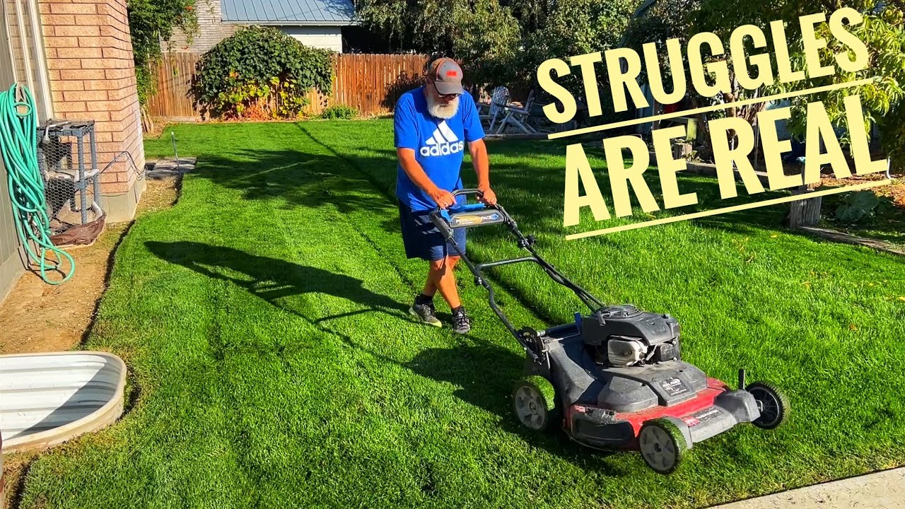 Toro Timemaster has hard time mulching this lawn!!