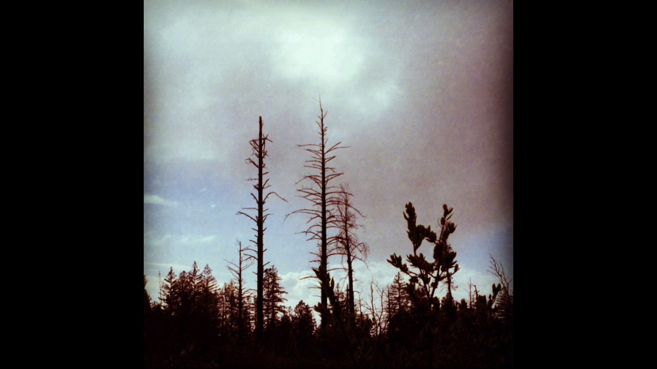 Joe Kaplow - Catharic Rambling