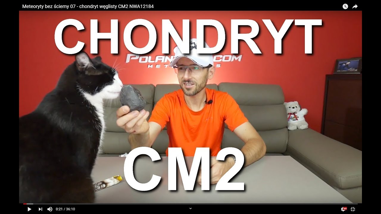 Meteoryty bez ściemy 07 - CHONDRYT WĘGLISTY CM2 NWA12184