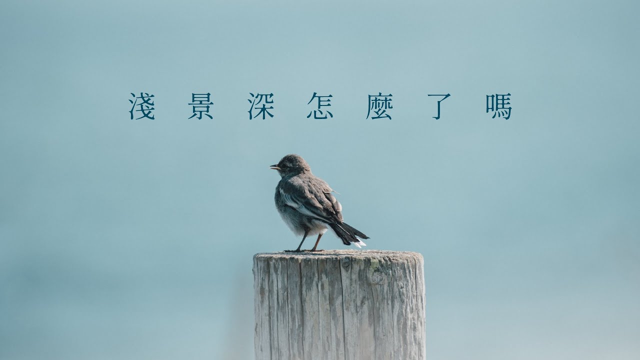 所以說，淺景深怎麼了嗎？