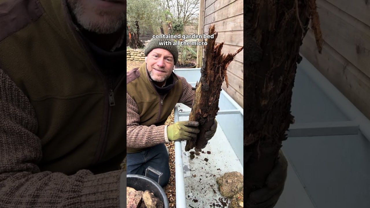Installing setting up filling and planting a large container hints and tips  #gardenerben 