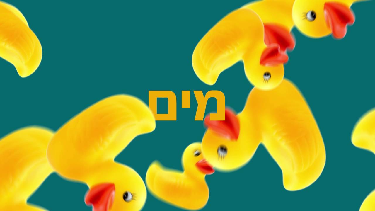 הפיל הכחול - 24/7