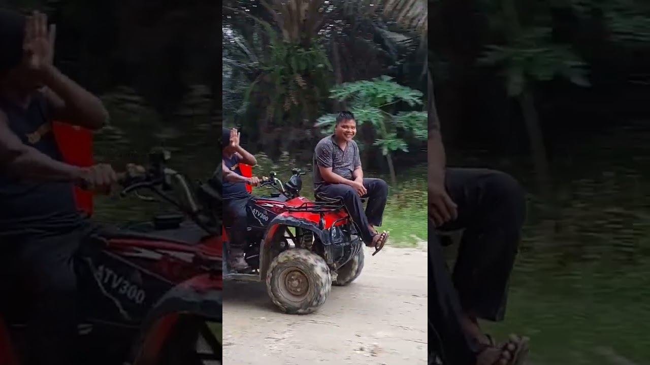ATV cargo langsir buah sawit