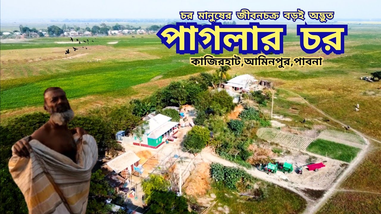 পাবনা পাগলার চর মানুষের গ্রামীন জীবনচক্র বড়ই অদ্ভুত || village life in Bangladesh.