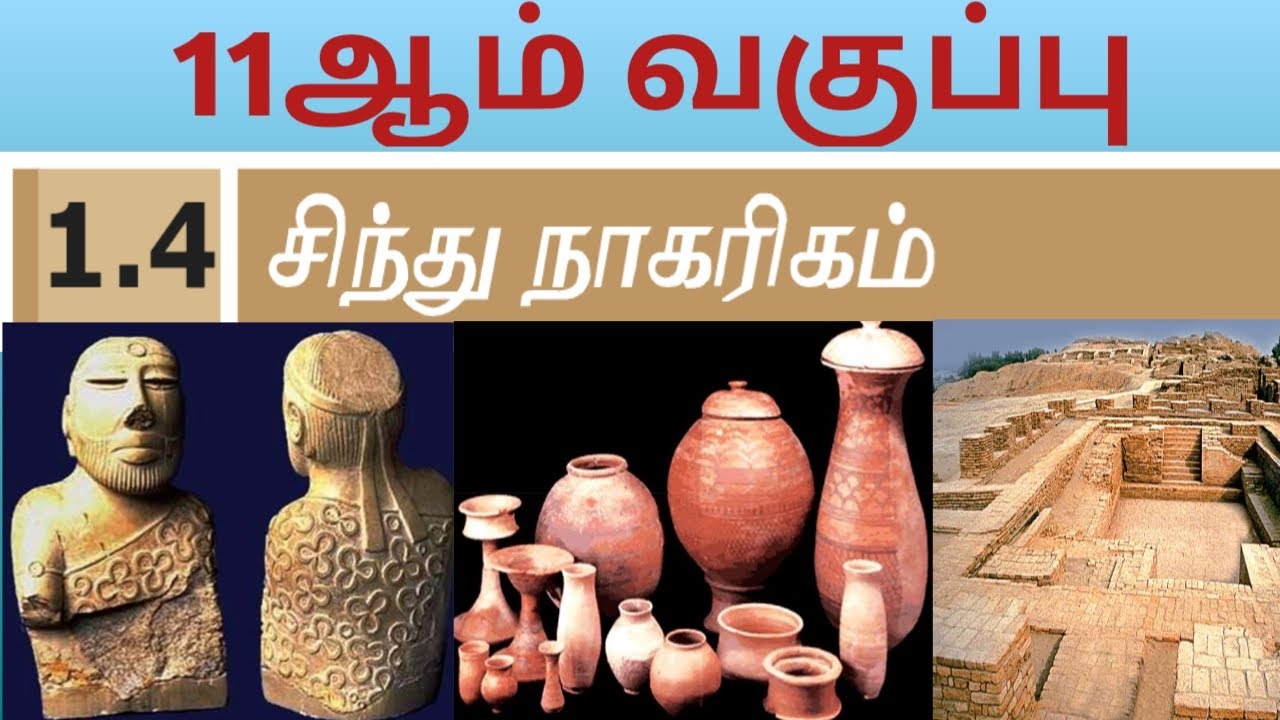 சிந்துவெளி நாகரிகம் 11ஆம் வகுப்பு | sindhu veli nagarigam history in tamil | PAAVENDHAR ACADEMY