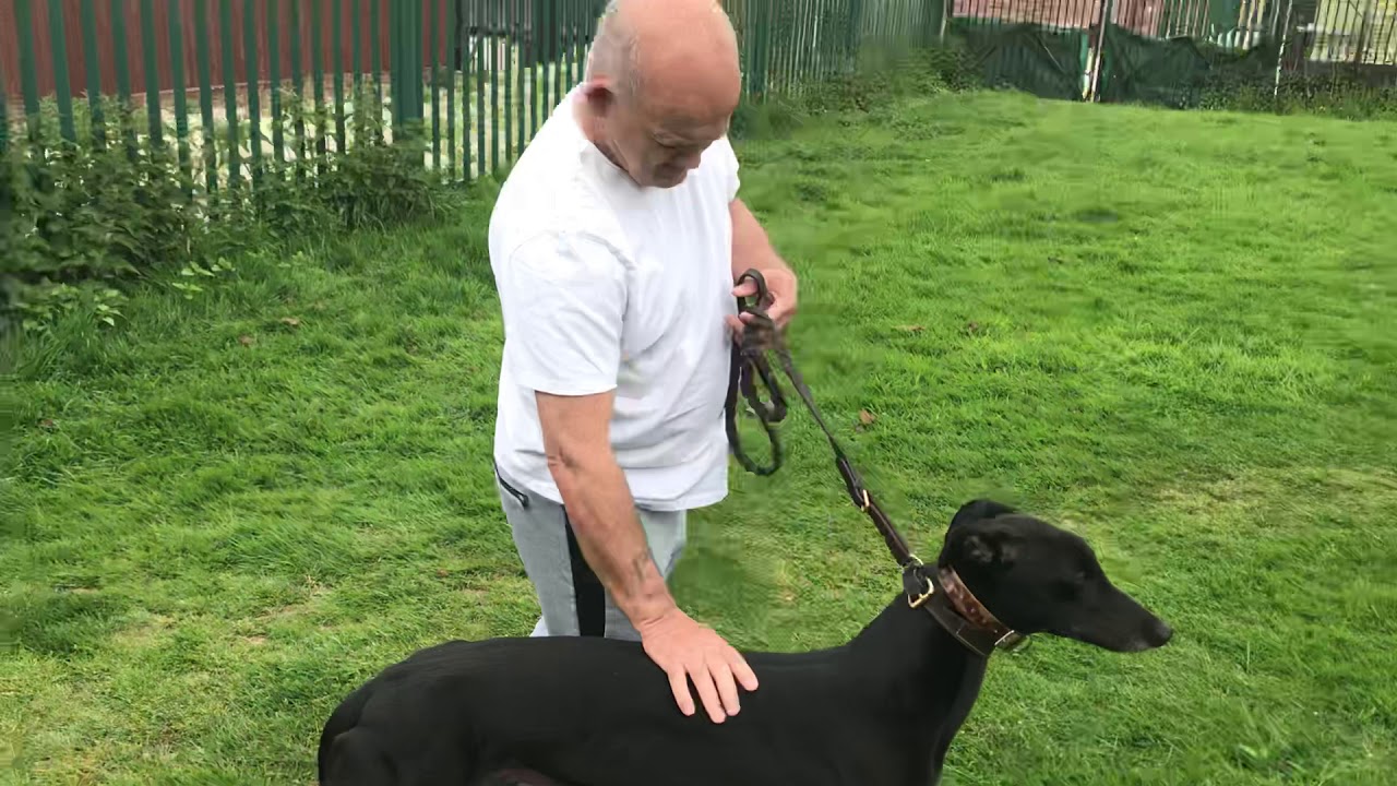 Rab McNair on King Turbo ahead of the 2019 Greyhound Derby