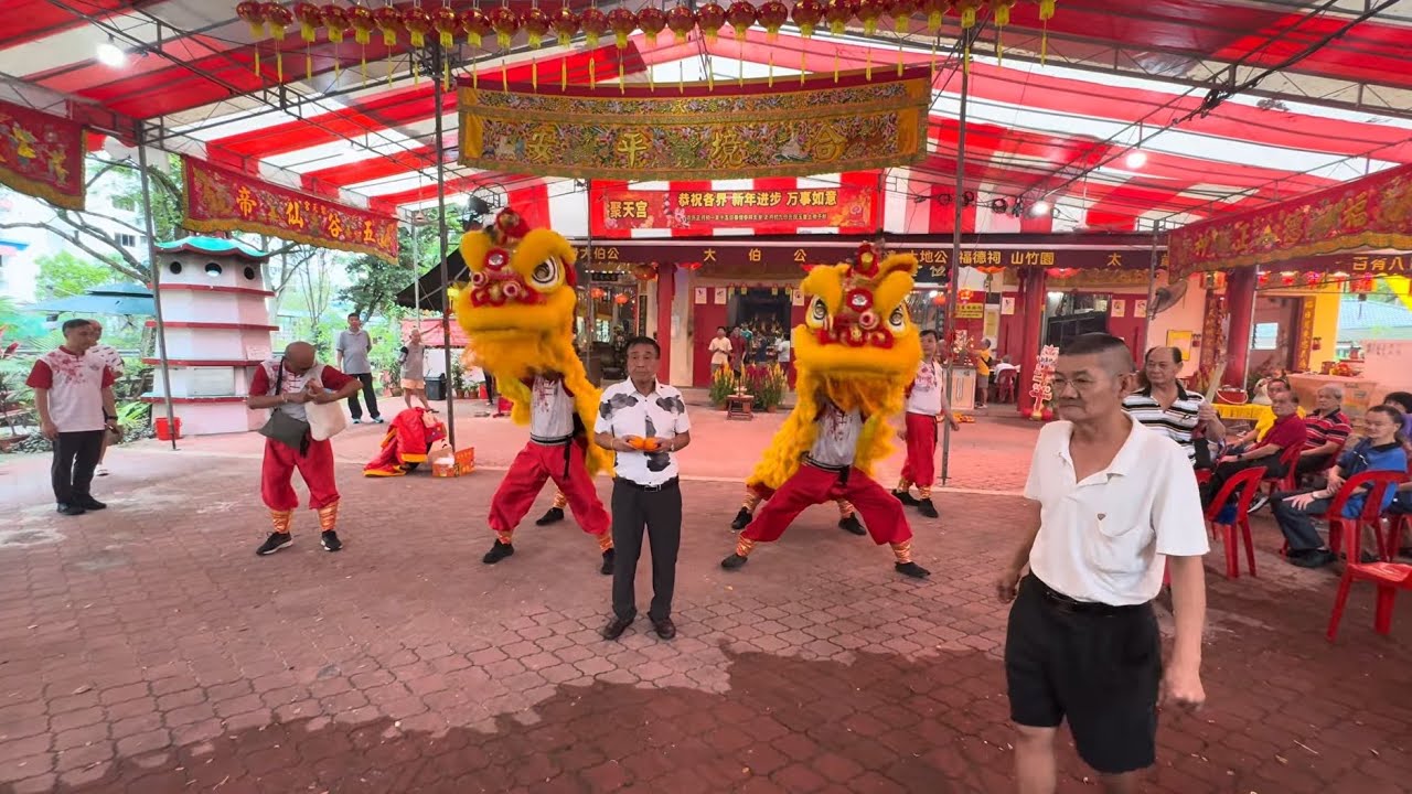 金吉龙狮团 Kim Keat Lion Dance Prayer & Cai Qing Performance at Toa Payoh Fuk Tuck Chee 18 Feb 2026