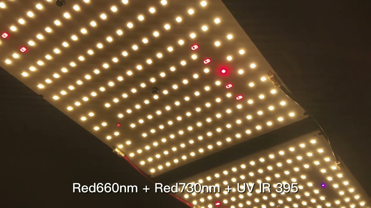 MEIJIU 240W LM301H QUANTUM BOARD WITH UV IR