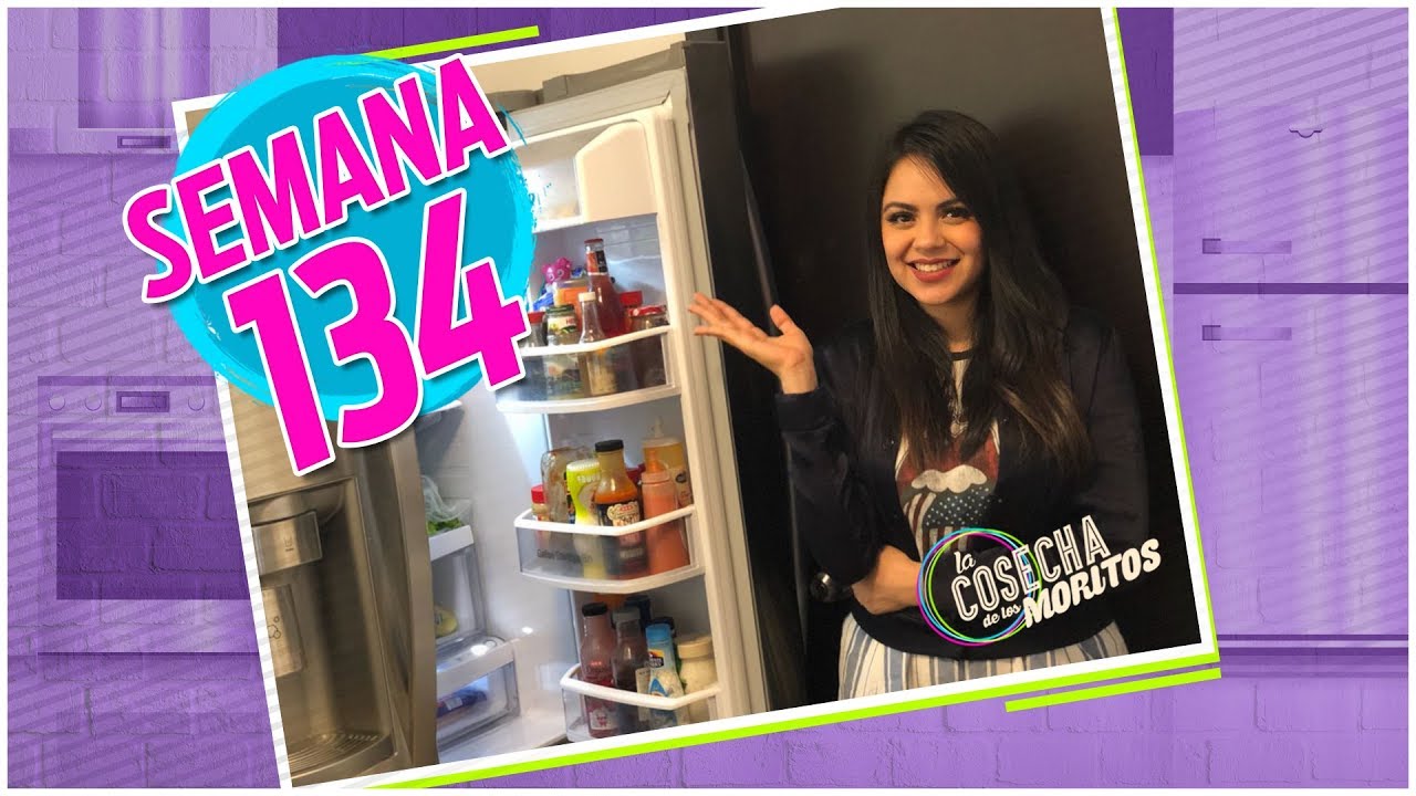 SEMANA 134 / TAG DEL REFRIGERADOR