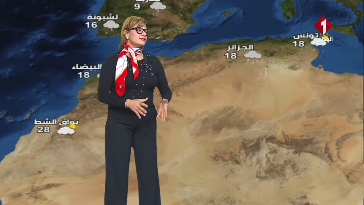 النشرة الجوية ليوم 29- 01- 2026