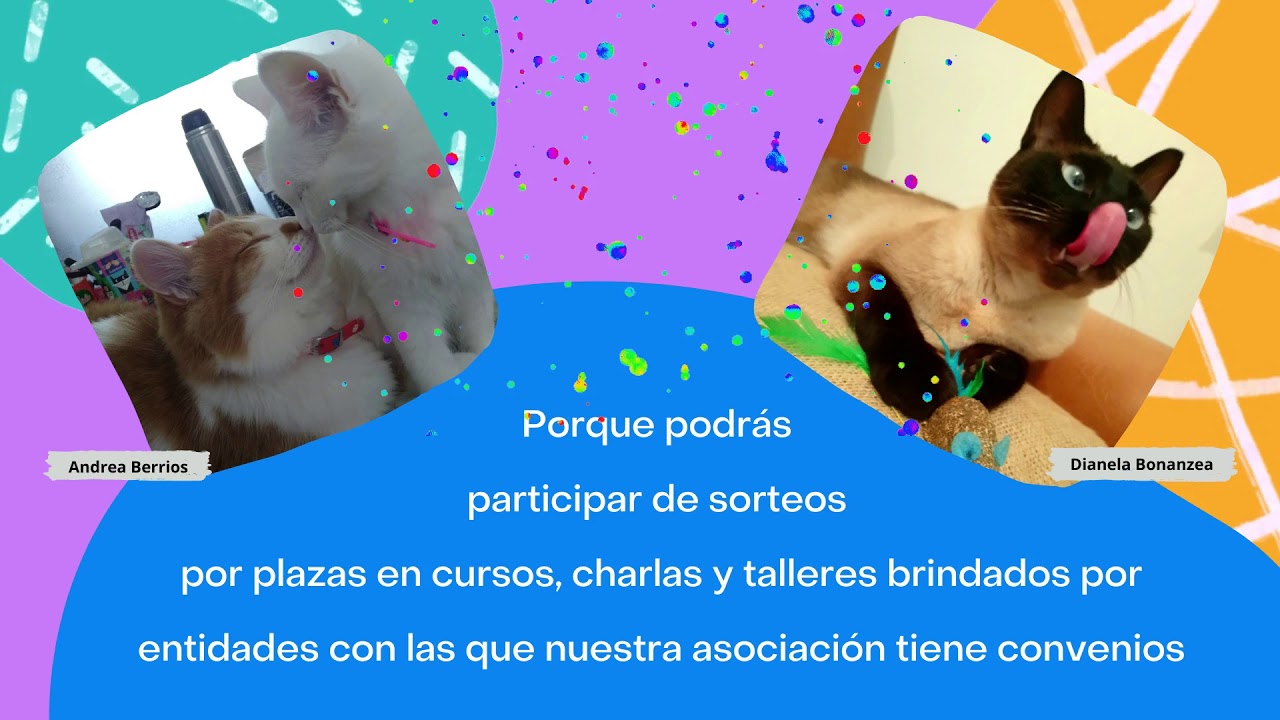 Beneficios de asociarse