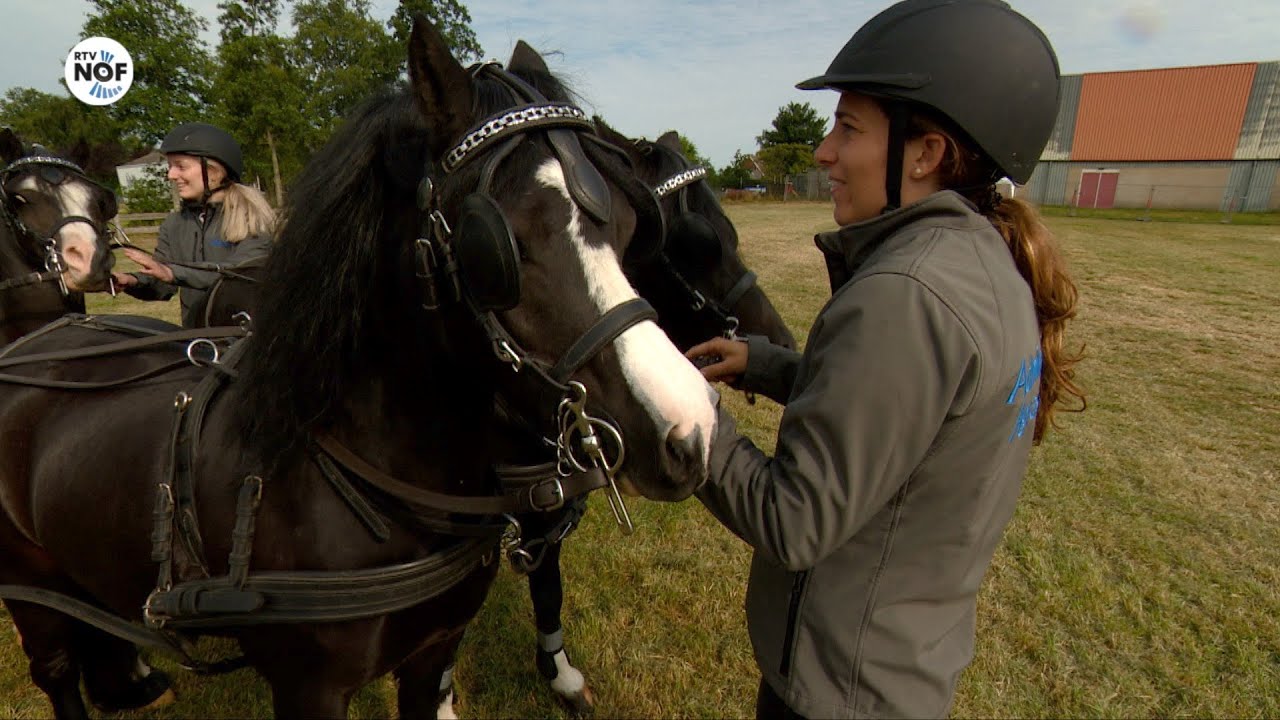 Paardenmarathon Driezum-Wâlterswâld: "As je winne wolle, moatte je gjin flaters meitsje"