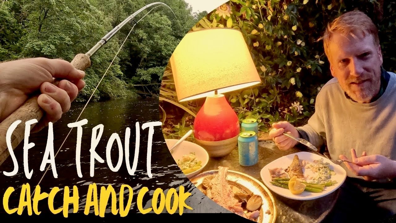 Ловля камбрийской морской форели