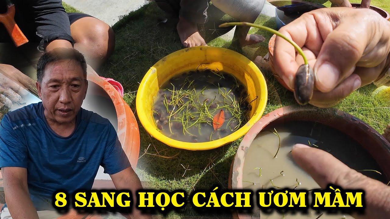 8. Пойдите и научитесь выращивать семена.