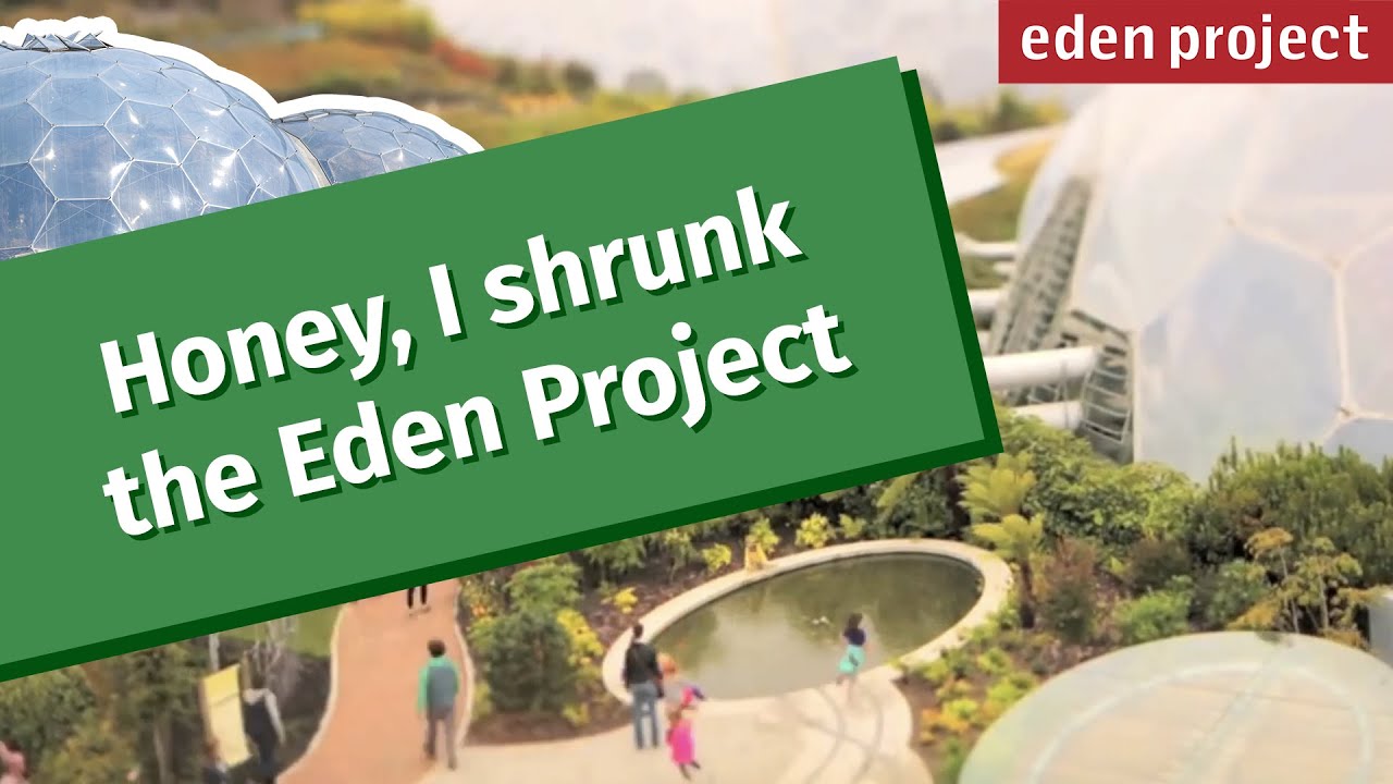 A mini tilt-shift adventure at the Eden Project: The Butterfly Effect